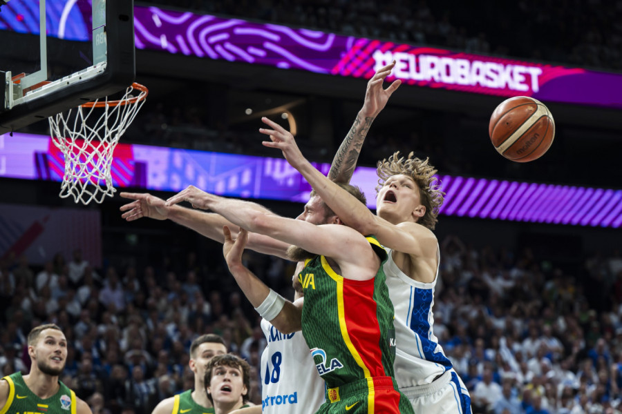 FINCI POCEPALI MREŽU, ALI BUKVALNO (VIDEO)