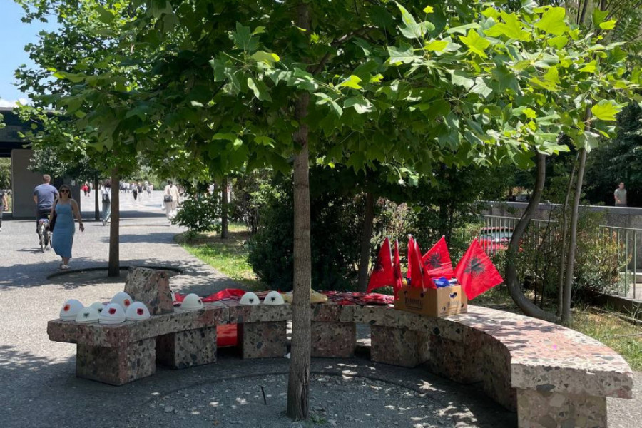 HULIGANI NA ALBANSKI NAČIN: Rade šta hoće usred Tirane (FOTO, VIDEO)