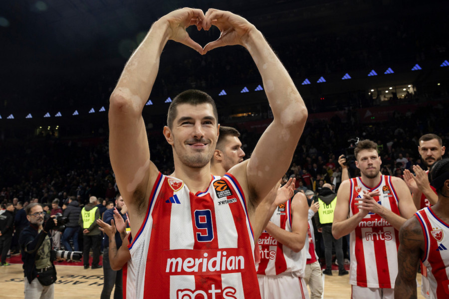 TREJDOVAN LUKA MITROVIĆ
