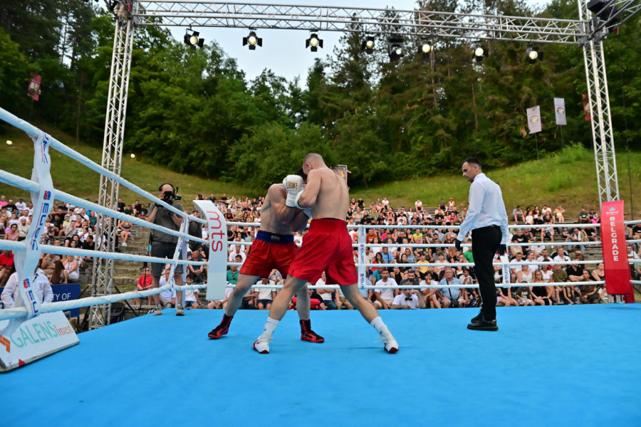 Trijumf srpskih mladih boks asova