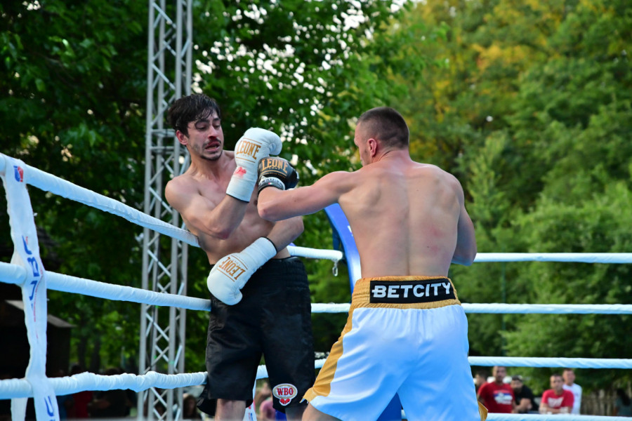 Trijumf srpskih mladih boks asova