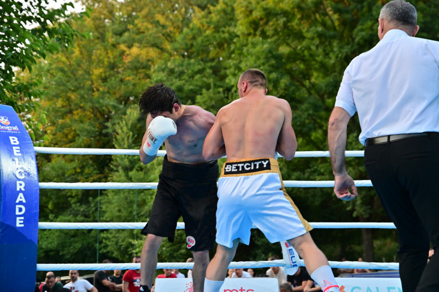 Trijumf srpskih mladih boks asova