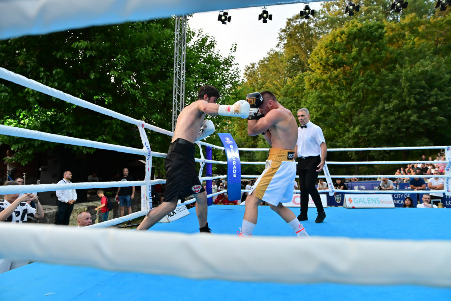 Trijumf srpskih mladih boks asova