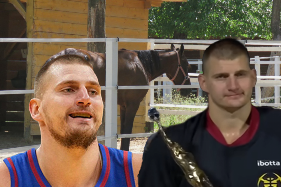 JOKIĆ I KONJ KOJI MU JE PROMENIO ŽIVOT: Džaba milioni, kad mu se niko NE RADUJE kao ON! (VIDEO)