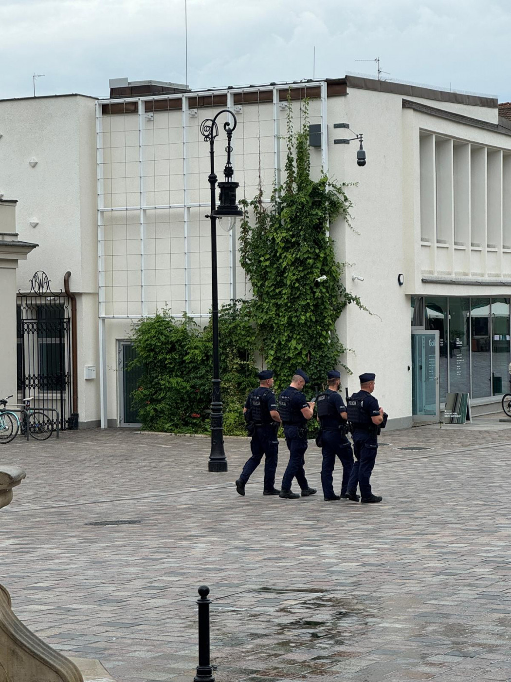 Velike policijske snage ispred stadiona pred meč Leh Crvena zvezda u Poljskoj
