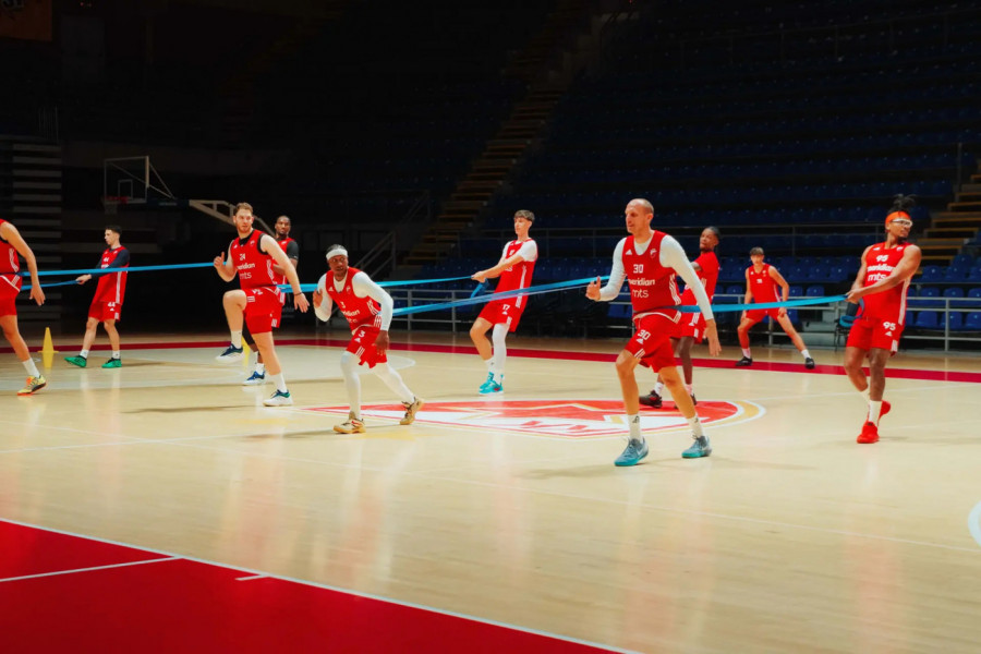 KK Crvena zvezda