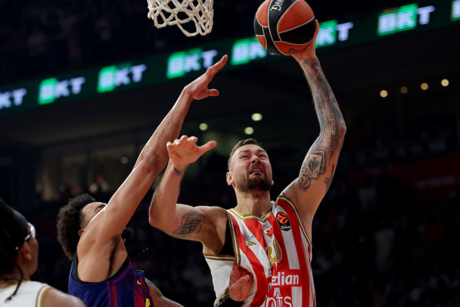 IMAMO SVOJE PROBLEME: Motiejunas o Željku Obradoviću! (VIDEO)