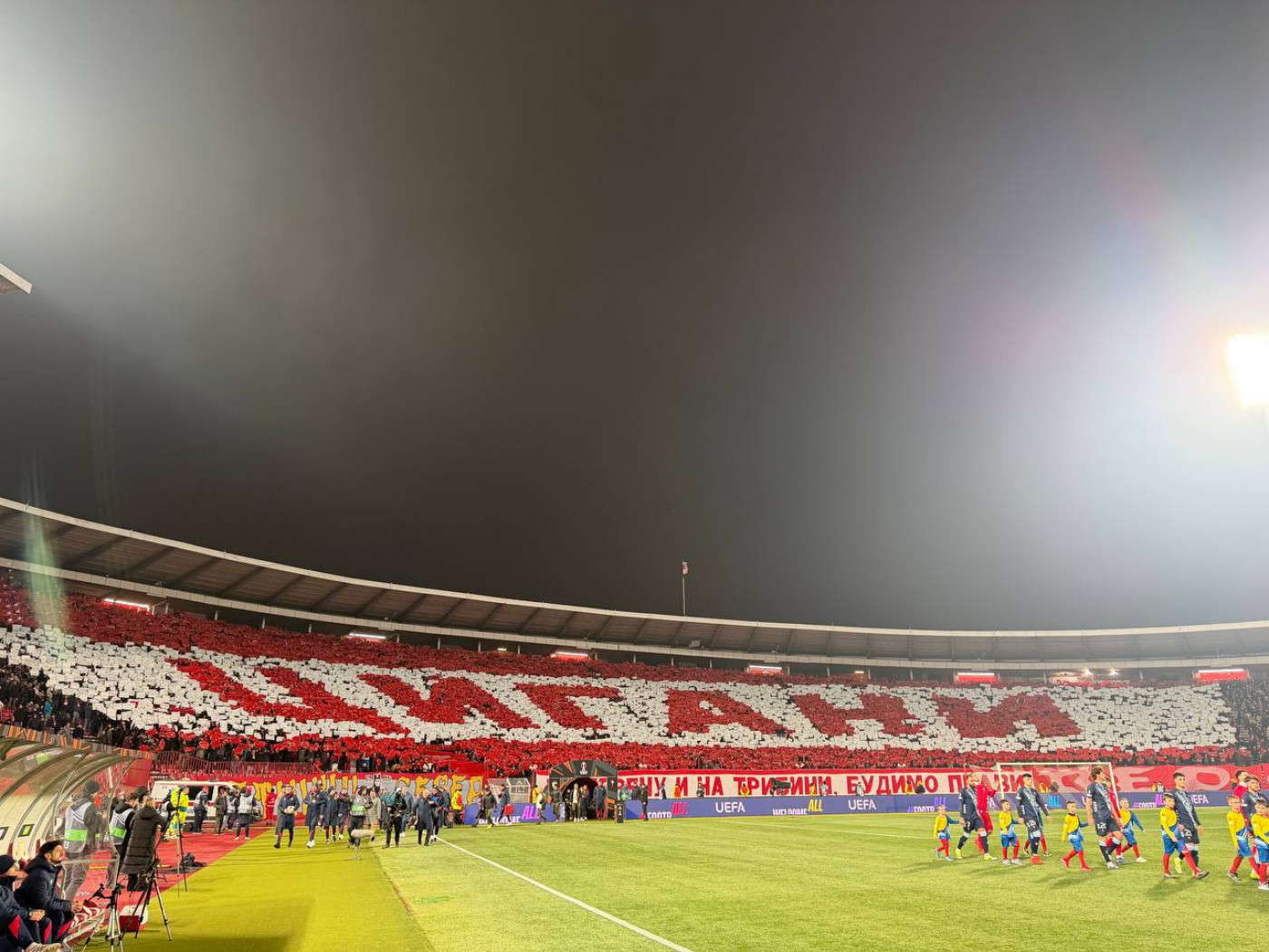 Sportissimo anketa: Šta kažu navijači Zvezde pred duel sa Seltom?