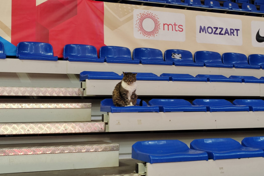 KALINIĆ VAN SEBE OD TUGE: Srpska sportska javnost plače zbog smrti miljenice! (FOTO)