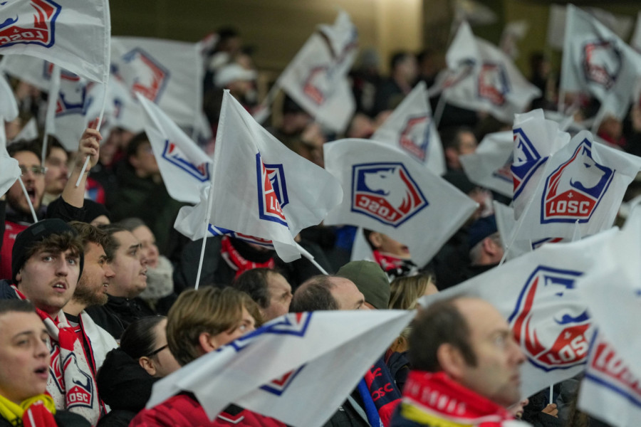 ČUVAJTE SE DOGE: Zašto Zvezdinog rivala krasi zver na grbu i kakve veze sa tim ima jedan novinar?