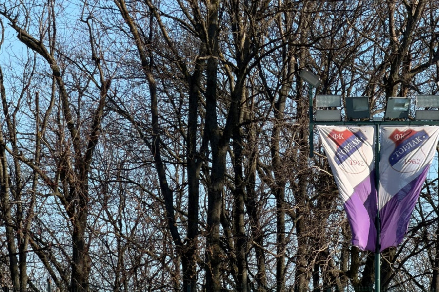 TORLAK NAKON PREOKRETA DO TRI BODA: Ilić pokrenuo svoj tim protiv Zvezdare! (VIDEO)