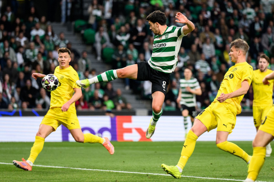 BODO NA KOLENIMA; Sporting nadomestio -3 iz prvog meča! Sledi ludilo u Portugalu!