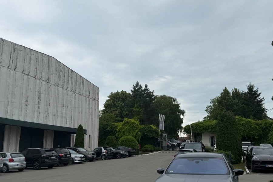 MILKA PRVA STIGLA: Pogledajte kako su Forcanova, Mijatović i Ljajić došli na Skupštinu Partizana (FOTO, VIDEO)