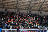 Spektakl na tribinama u Požarevcu: Srbija na pogon krcate hale juri Svetsko prvenstvo (FOTO)